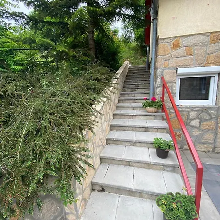Zsuzsanna's Panoramic Nest Nagymaros